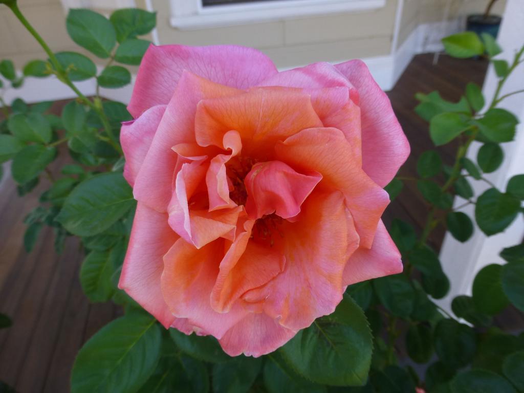 La Maison St Arnaud รัทเธอร์เกล็น ภายนอก รูปภาพ